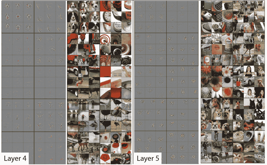 CNN 末端层的激活